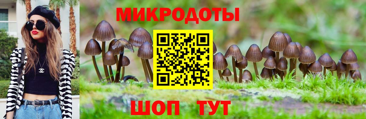 Галлюциногенные грибы GOLDEN TEACHER  сколько стоит  Волхов  Вход с VPN 