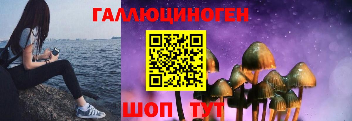 Псилоцибиновые грибы MAGIC MUSHROOMS Волхов